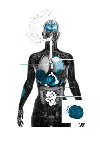 Radar_Muhendislik_Surdurulebilirlik_Microplastic